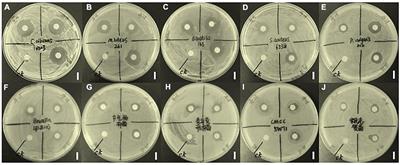 Chemical synthesis and mechanism of a natural product  - Frontiers